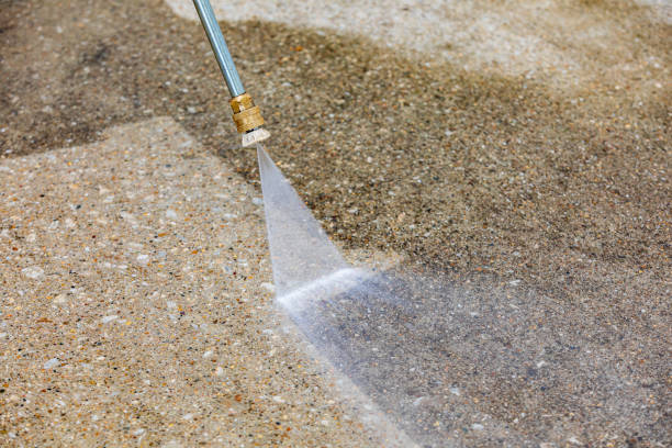 Best Soft Washing  in Haslett, MI